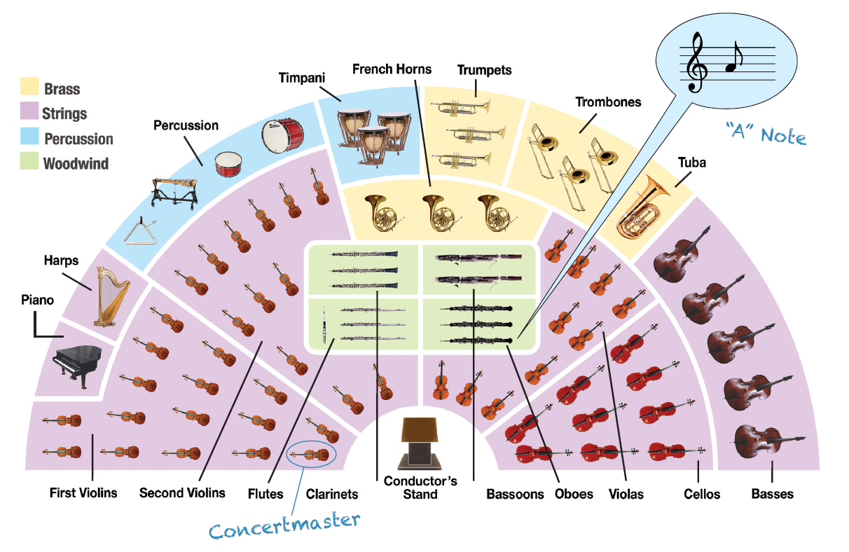 Chispa  chispear suelo microscópico Guide to the Orchestra | Kennedy Center
