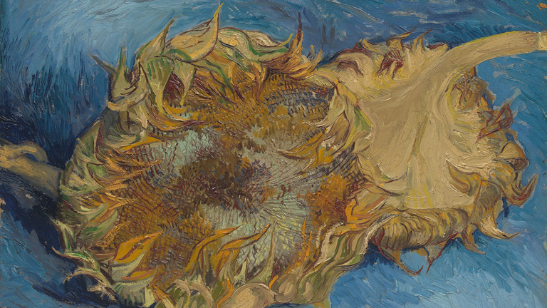 An oil on canvas sunflower painting by Vincent van Gogh.