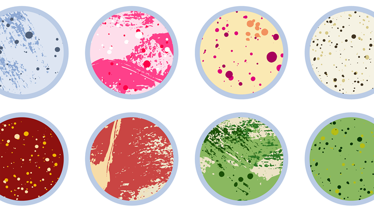 Petri dishes with colorful representations of a chemical analysis.