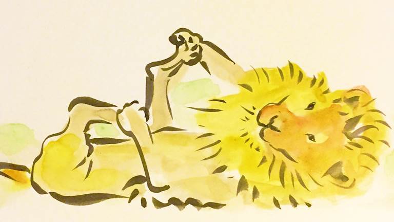 A watercolor painting of a lion laying on its back. 