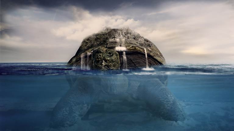 A big turtle in water with its head and shell sticking out of the water.