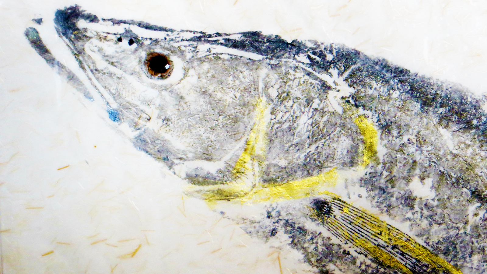 Gyotaku Fish Printing