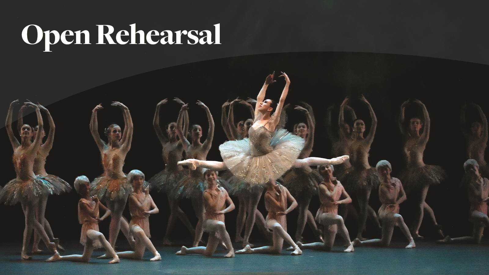 Open Rehearsal with American Ballet Theatre